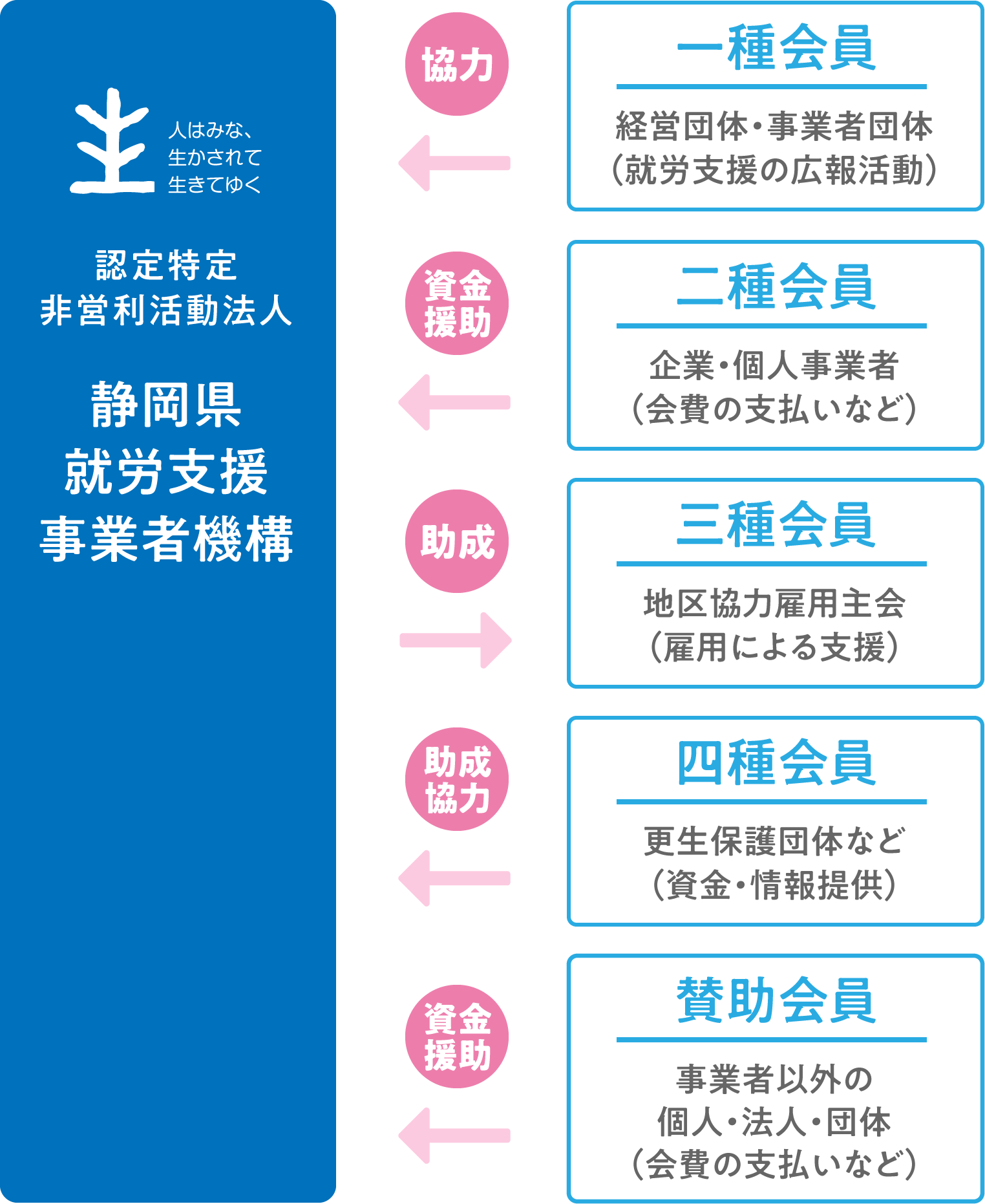 図：組織体制