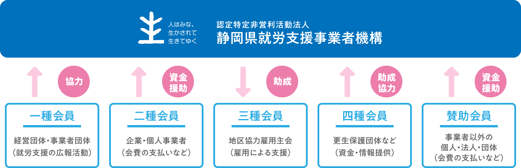 図：組織体制